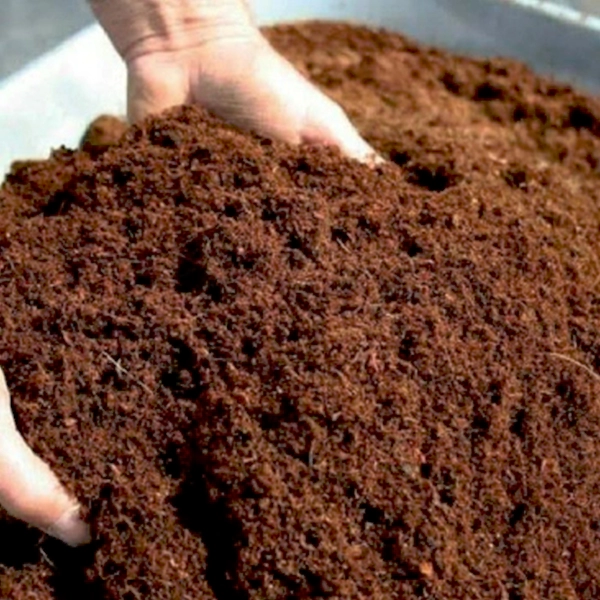 Cocopeat1